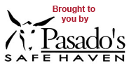Brought to you by Pasado's Safe Haven